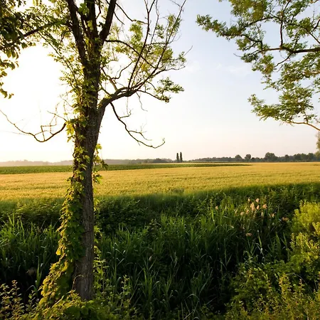 Cascina Roveri Farma *